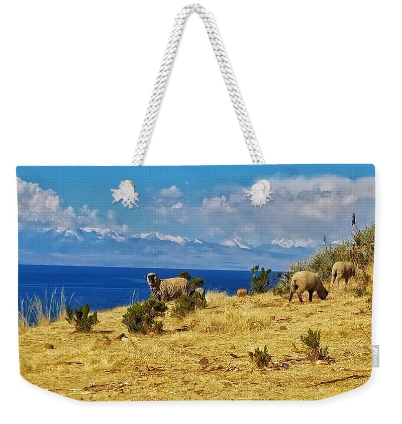 Island Weekender Tote Bag featuring the photograph Isla de Obejas by Drew Hutto