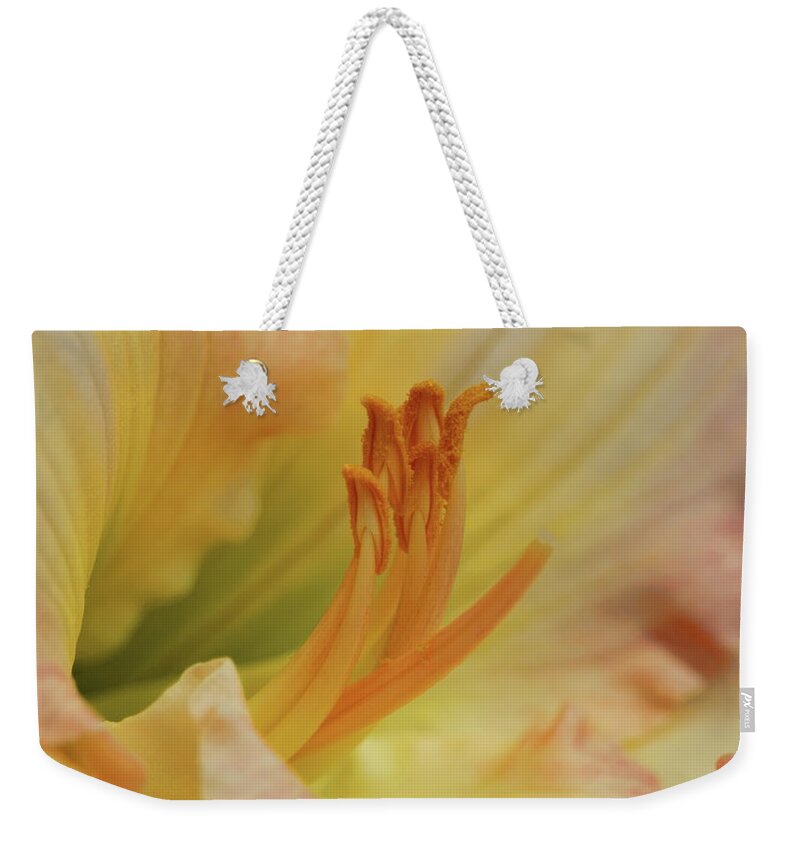Flower Weekender Tote Bag featuring the photograph Island Forest Day Lily Macro by Dale Kauzlaric