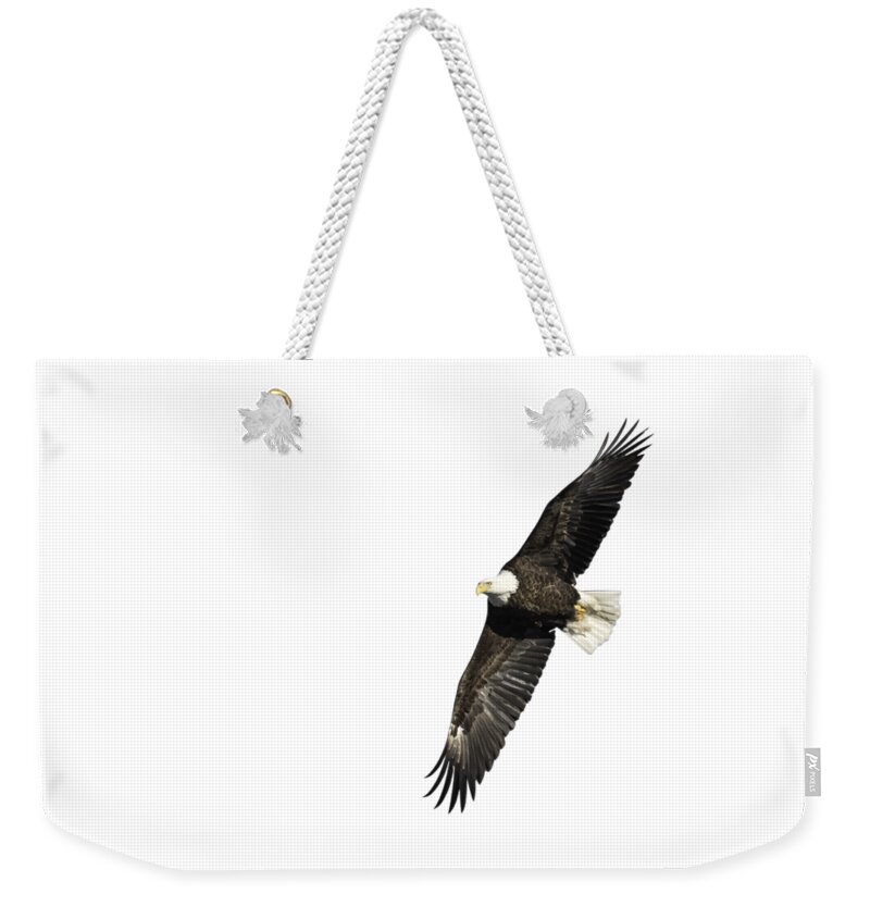 American Bald Eagle Weekender Tote Bag featuring the photograph Isolated American Bald Eagle 2016-7 by Thomas Young