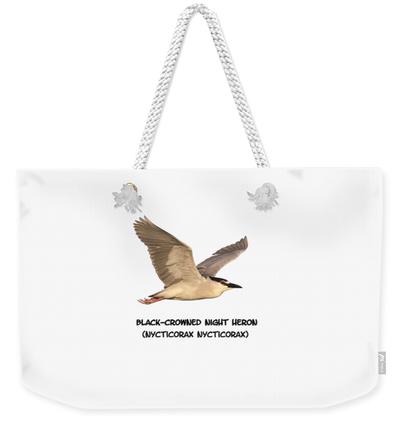 Black-crowned Night Heron Weekender Tote Bag featuring the photograph Isolated Black-crowned Night Heron 2017-6 by Thomas Young