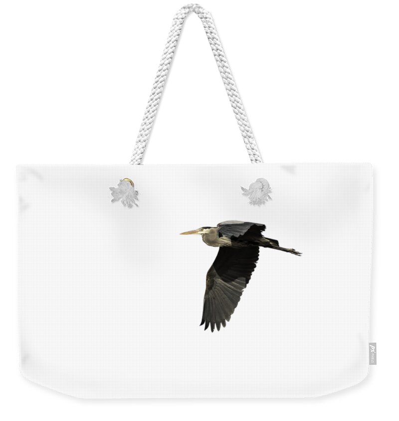 Great Blue Heron Weekender Tote Bag featuring the photograph Isolated Great Blue Heron 2015-4 by Thomas Young