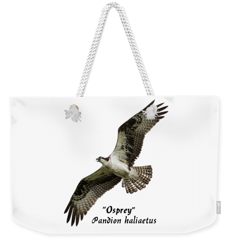 Osprey Weekender Tote Bag featuring the photograph Isolated Osprey 2017-1 by Thomas Young