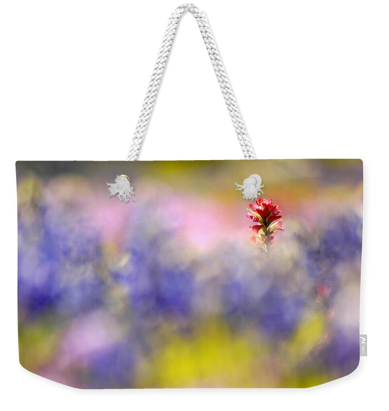 Paintbrush Weekender Tote Bag featuring the photograph Isolated Paintbrush by Ted Keller