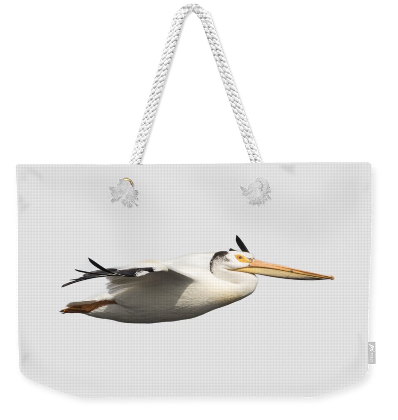 American White Pelican Weekender Tote Bag featuring the photograph Isolated Pelican 2016-1 by Thomas Young