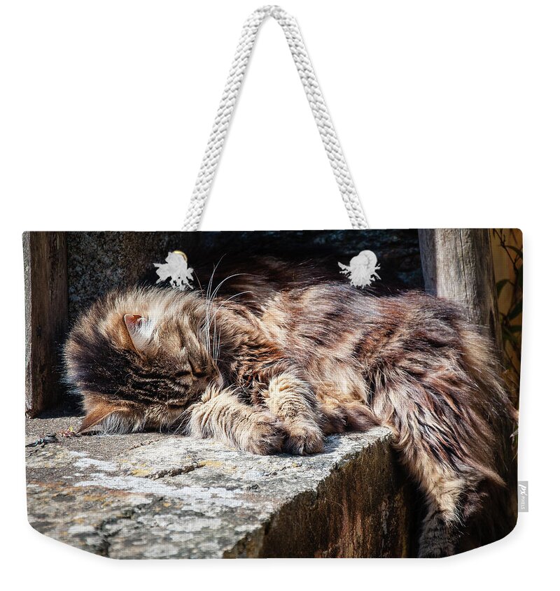 Cat Weekender Tote Bag featuring the photograph It's a Hard Life by Geoff Smith