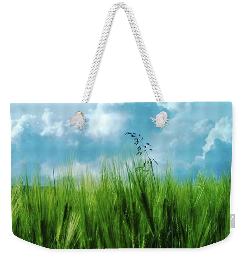 Wheat Weekender Tote Bag featuring the photograph It's All In The Details by Aleck Cartwright