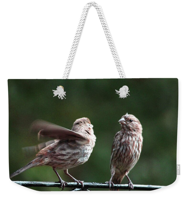 Birds Weekender Tote Bag featuring the photograph It's My Turn by Trina Ansel