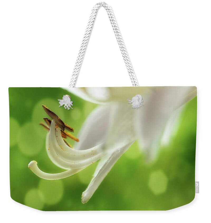Hosta Weekender Tote Bag featuring the photograph It's Summer Time by Mike Eingle