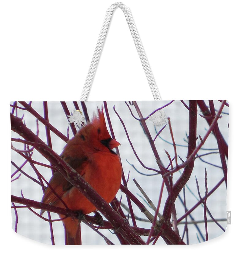 Small Bird Weekender Tote Bag featuring the photograph Blending In by Leslie Montgomery