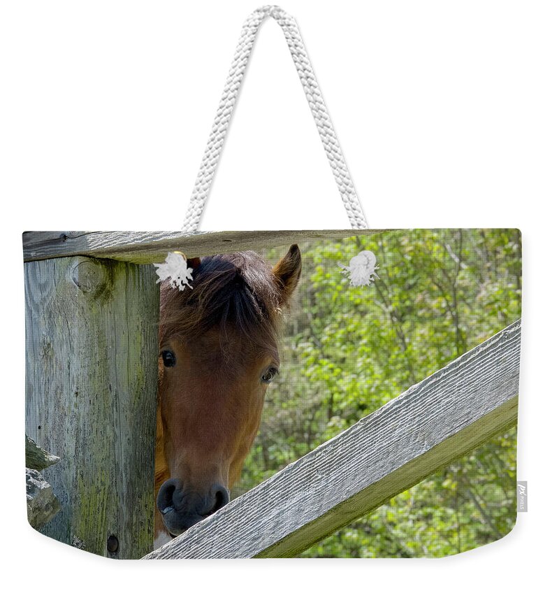 Pony Weekender Tote Bag featuring the photograph I've Been Framed by Jim Cook