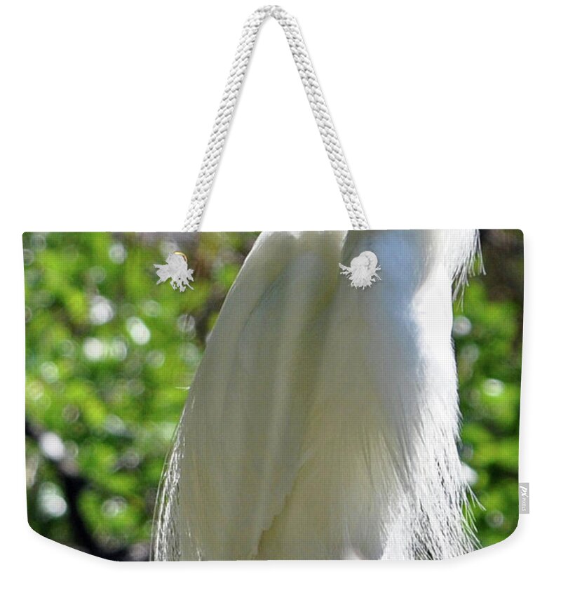 Bird Weekender Tote Bag featuring the photograph I've Got Something To Say by Lydia Holly