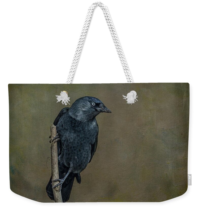Jackdaw Weekender Tote Bag featuring the digital art Jackdaw by Liz Leyden