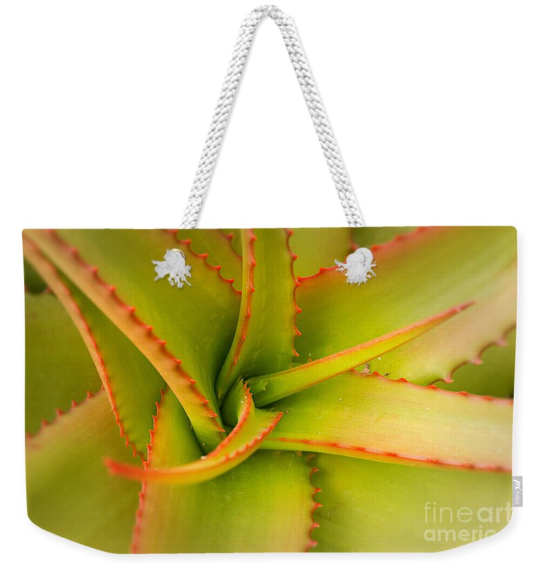 Aloe Weekender Tote Bag featuring the photograph Jagged Aloe by Ana V Ramirez