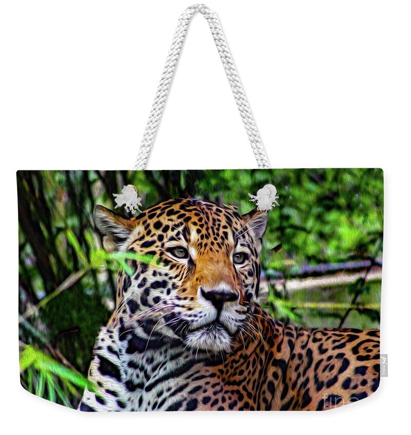 Jaguars Weekender Tote Bag featuring the mixed media Jaguar at Peace by DB Hayes