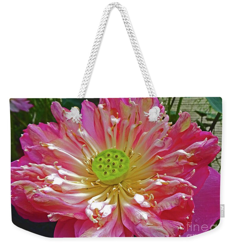 Water Lily Weekender Tote Bag featuring the photograph Jakarta Water Lily by Eunice Warfel