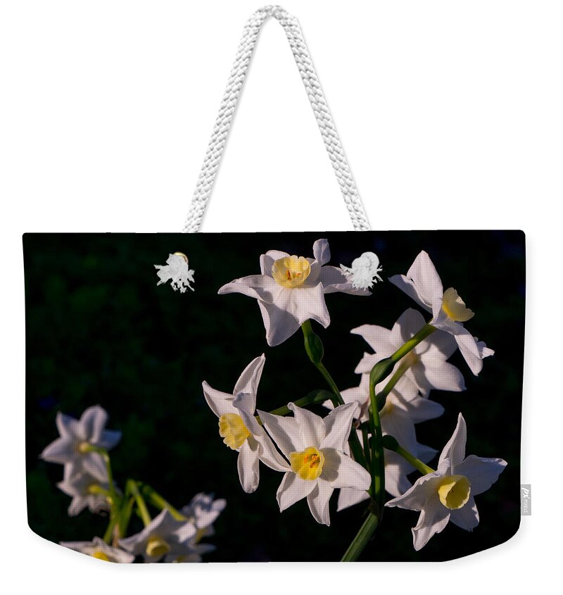 Flower Weekender Tote Bag featuring the photograph January Surprise by Derek Dean