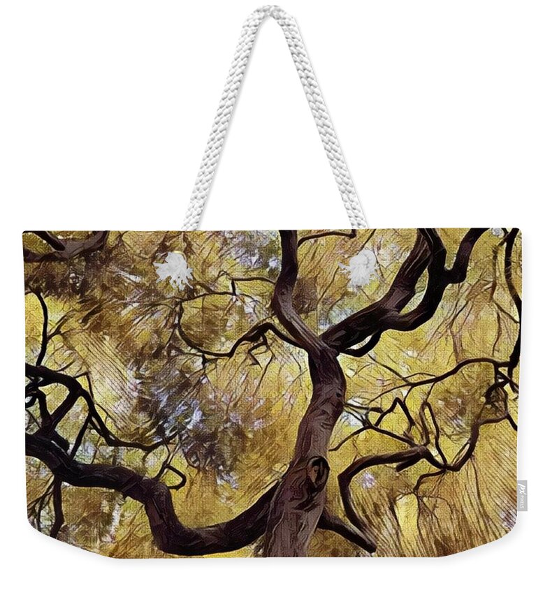 Tree Weekender Tote Bag featuring the photograph Japanese Maple by Jodie Marie Anne Richardson Traugott     aka jm-ART
