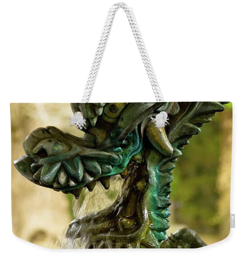 Fountain Weekender Tote Bag featuring the photograph Japanese Water Dragon by Sebastian Musial