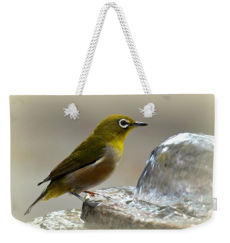 Bird Weekender Tote Bag featuring the photograph Japanese White Eye by Lori Seaman