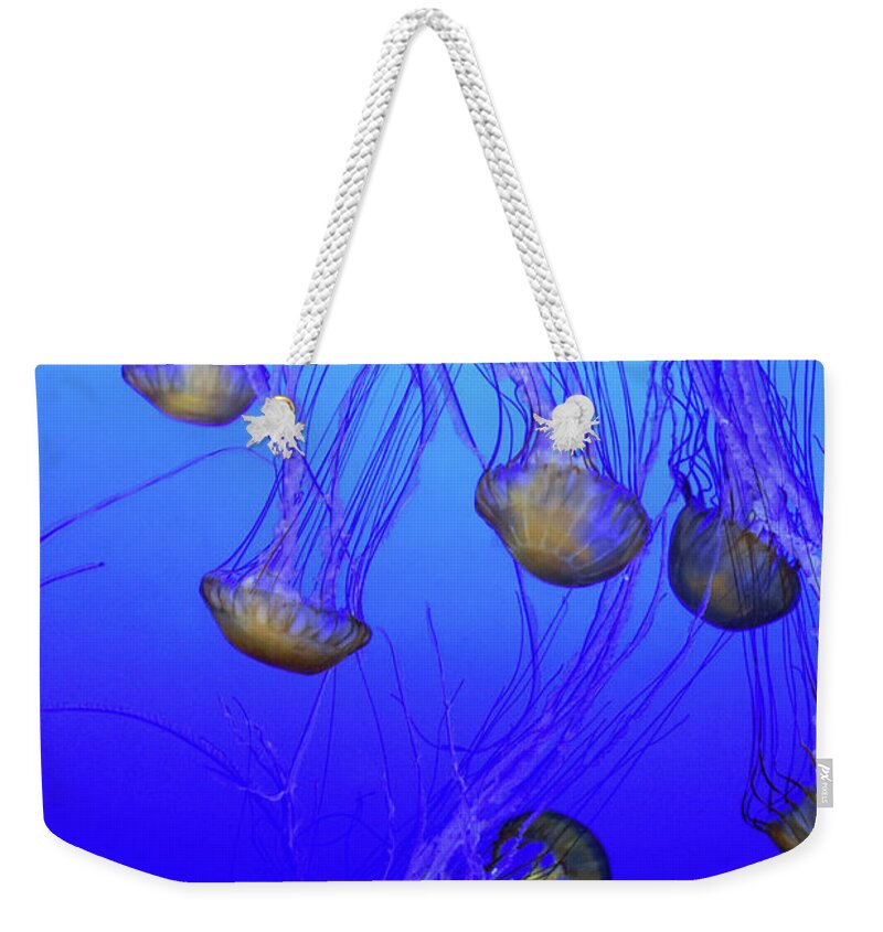 Jellies Weekender Tote Bag featuring the photograph Jellies No. 408-1 by Sandy Taylor