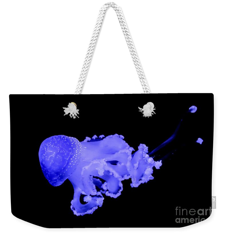 Jellyfish Weekender Tote Bag featuring the photograph Jellyfish by Amanda Mohler