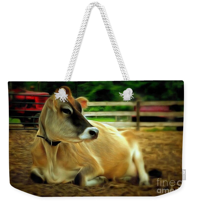 Cow Weekender Tote Bag featuring the photograph Jersey Cow - Chillaxin' on the Farm by Janine Riley