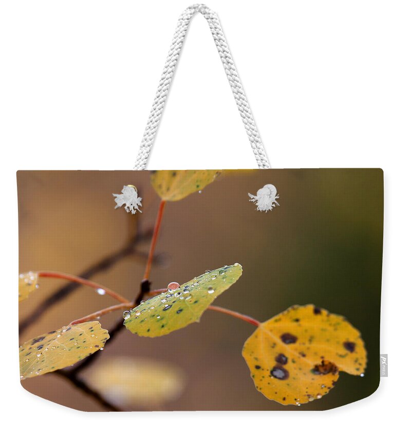 Autumn Colors Weekender Tote Bag featuring the photograph Jewels of Autumn by Jim Garrison