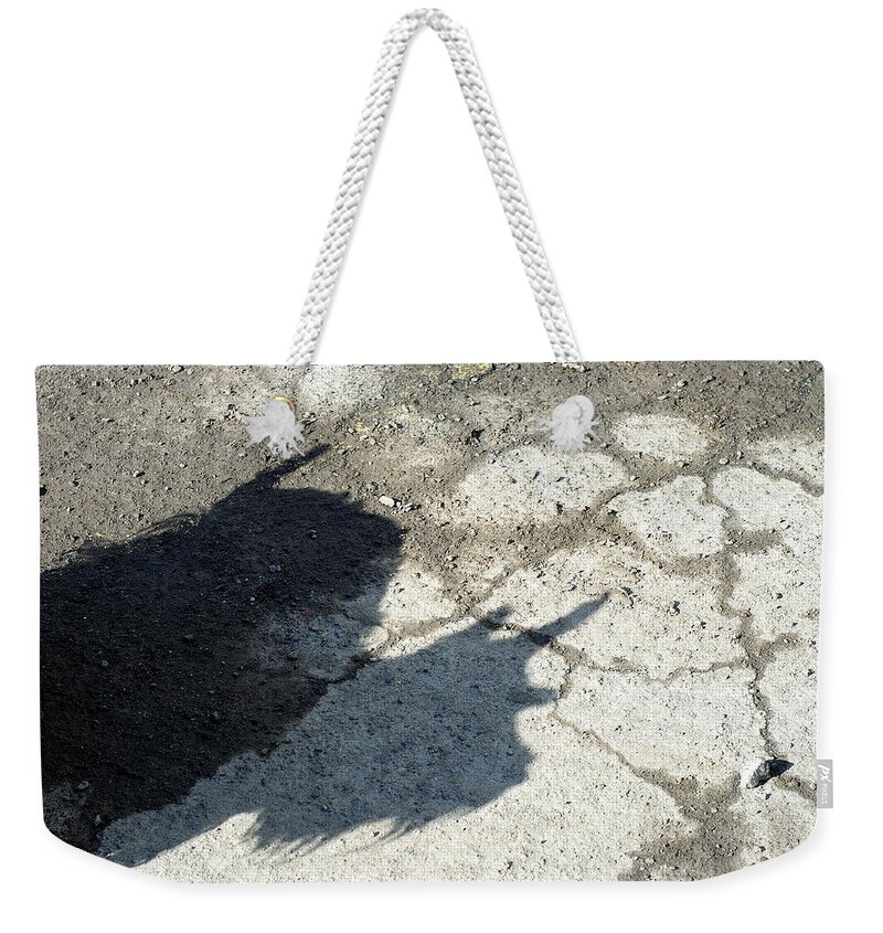 Scotty Weekender Tote Bag featuring the photograph Jiggy - Scotty Dog by DArcy Evans