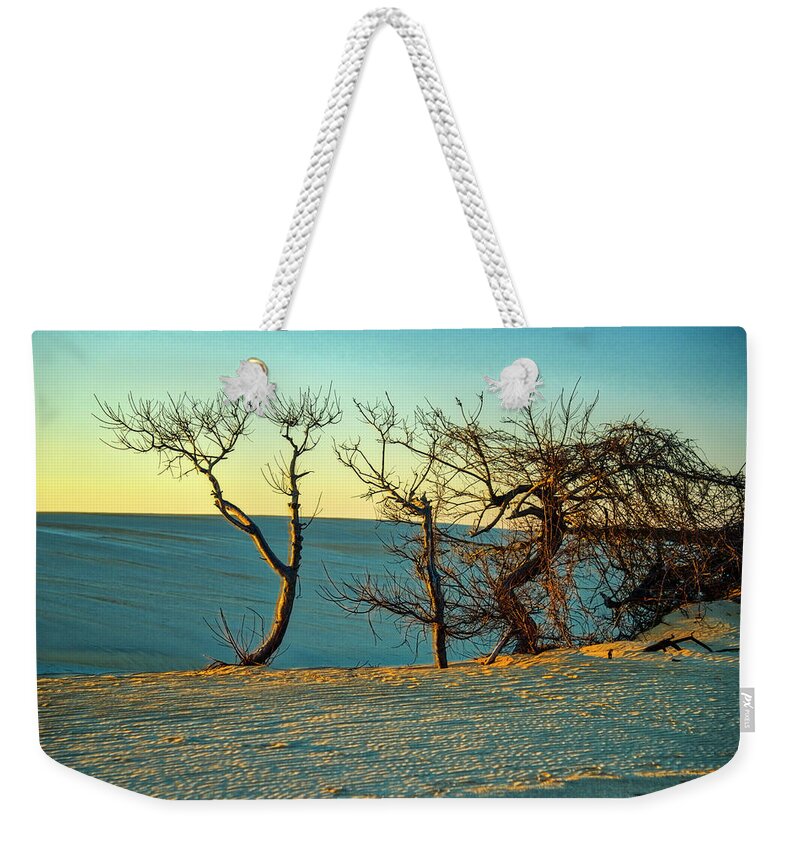 Landscapes Weekender Tote Bag featuring the photograph Jockey Ridge Sentinels by Donald Brown