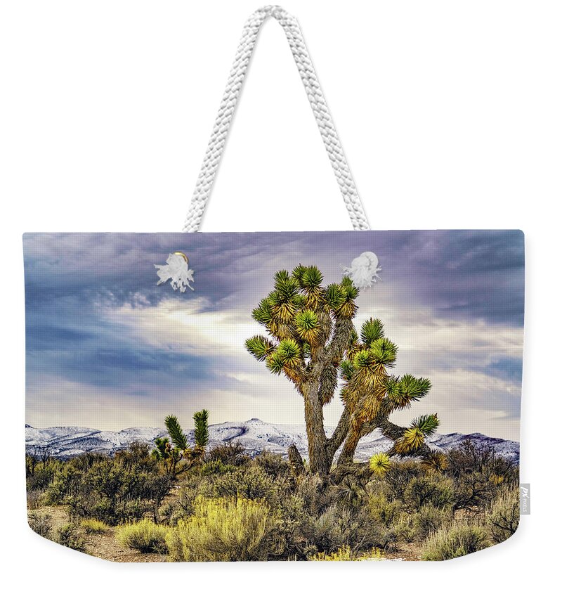 Joshua Weekender Tote Bag featuring the photograph Joshua Tree on the Extraterrestrial Highway by Janis Knight