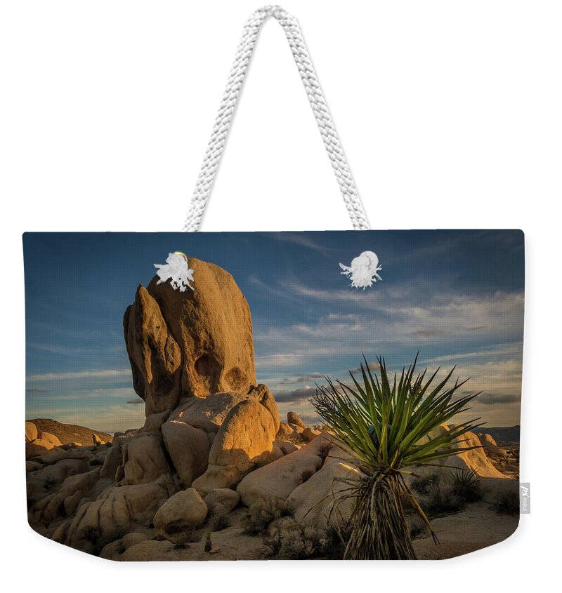 Joshua Tree Weekender Tote Bag featuring the photograph Joshua Tree Rock Formation by Ed Clark