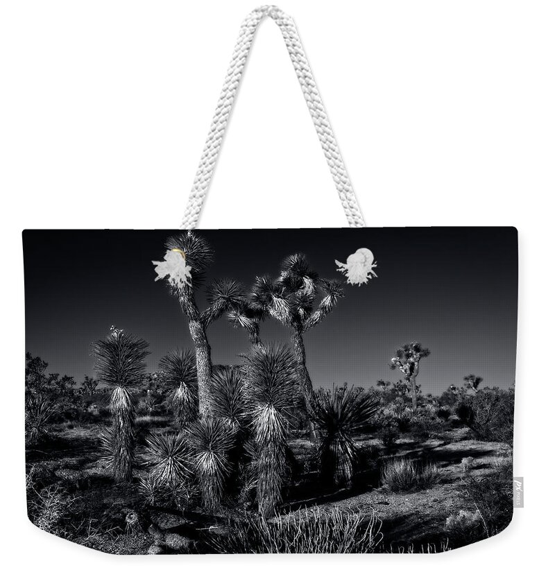 Joshua Tree National Park Weekender Tote Bag featuring the photograph Joshua Tree Series 9190509 by Sandra Selle Rodriguez