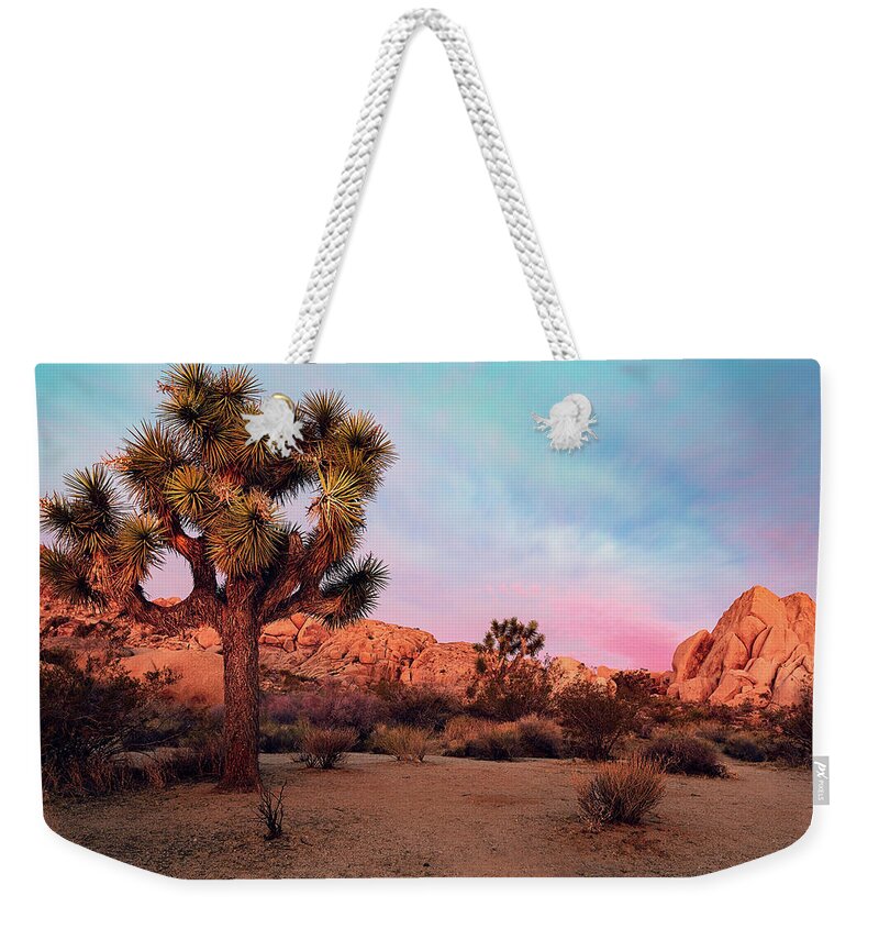 California Weekender Tote Bag featuring the photograph Joshua Tree with Dawn's Early Light by John Hight