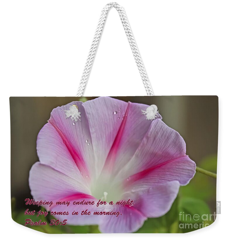 Morning Glories Weekender Tote Bag featuring the photograph Joy Comes In The Morning by Barbara Dean