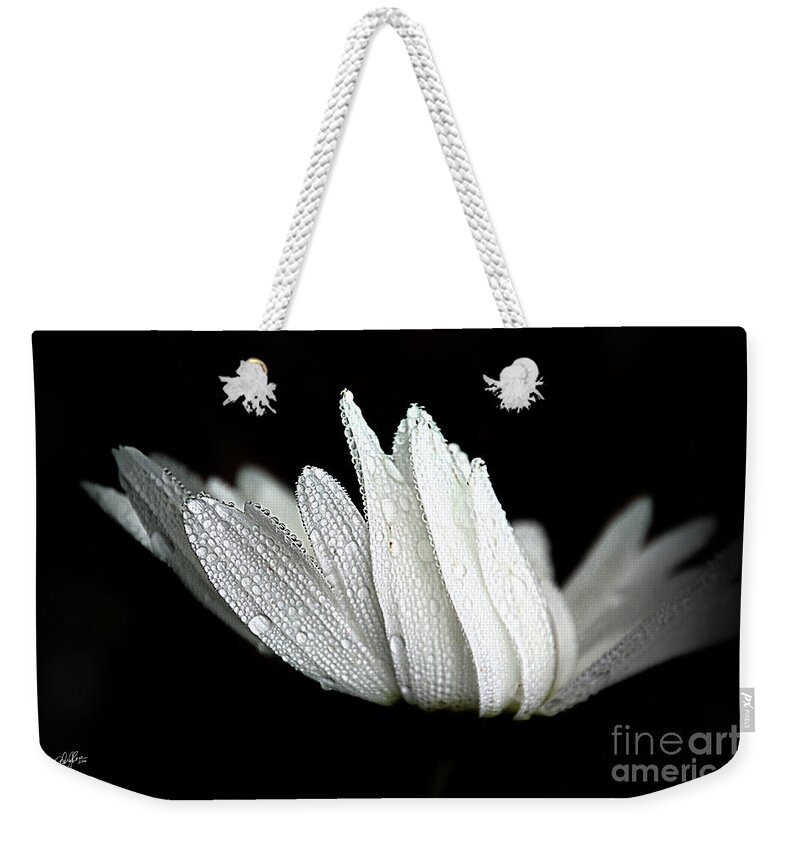 Daisy Weekender Tote Bag featuring the photograph Joy Comes in the Morning by Cheryl Rose
