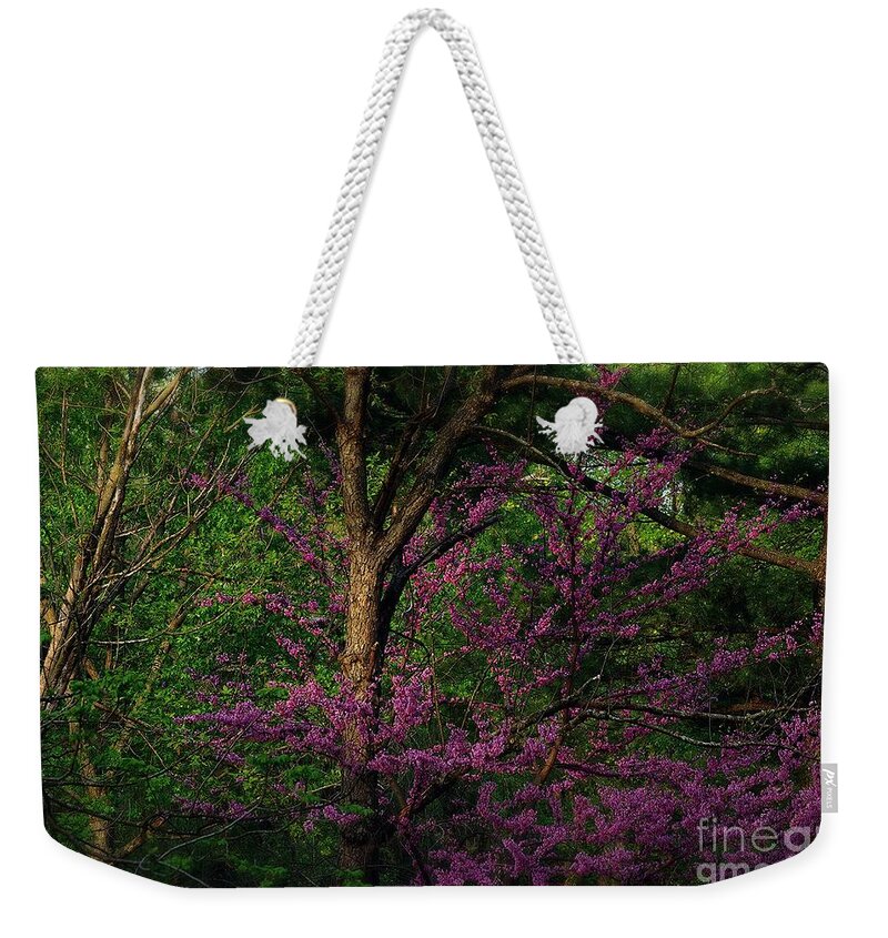 Frank-j-casella Weekender Tote Bag featuring the photograph Judas in the Forest by Frank J Casella