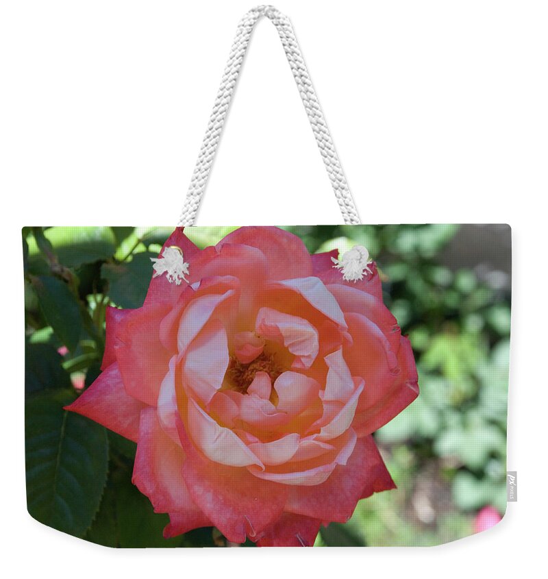 June Birth Flower Weekender Tote Bag featuring the photograph June Flower by Ee Photography