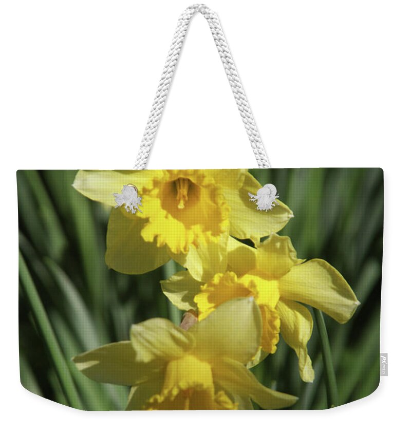 Heaton Weekender Tote Bag featuring the photograph Just Dafs by Jez C Self