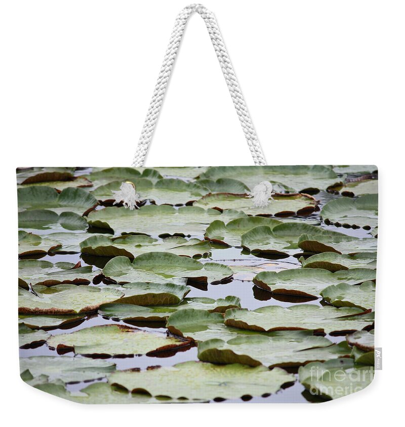 Nature Weekender Tote Bag featuring the photograph Just Lily Pads by Carol Groenen