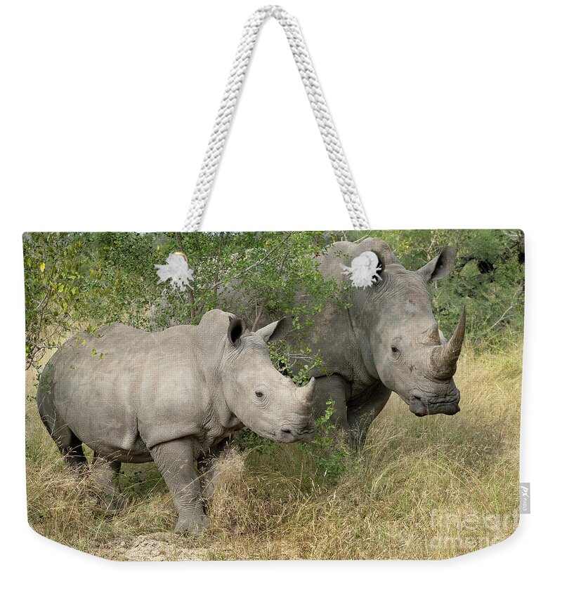 South Africa Weekender Tote Bag featuring the photograph Just Me and Mom - Sabi Sands by Sandra Bronstein