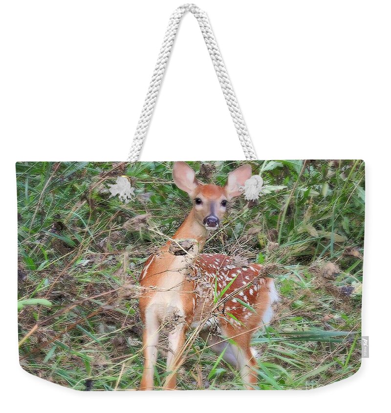 Deer Weekender Tote Bag featuring the photograph Just Precious by Tami Quigley
