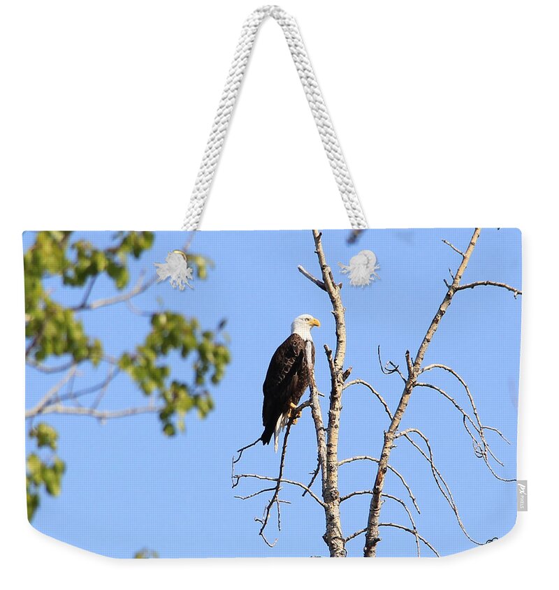 Art Weekender Tote Bag featuring the photograph Just Resting. by Andrea Lawrence