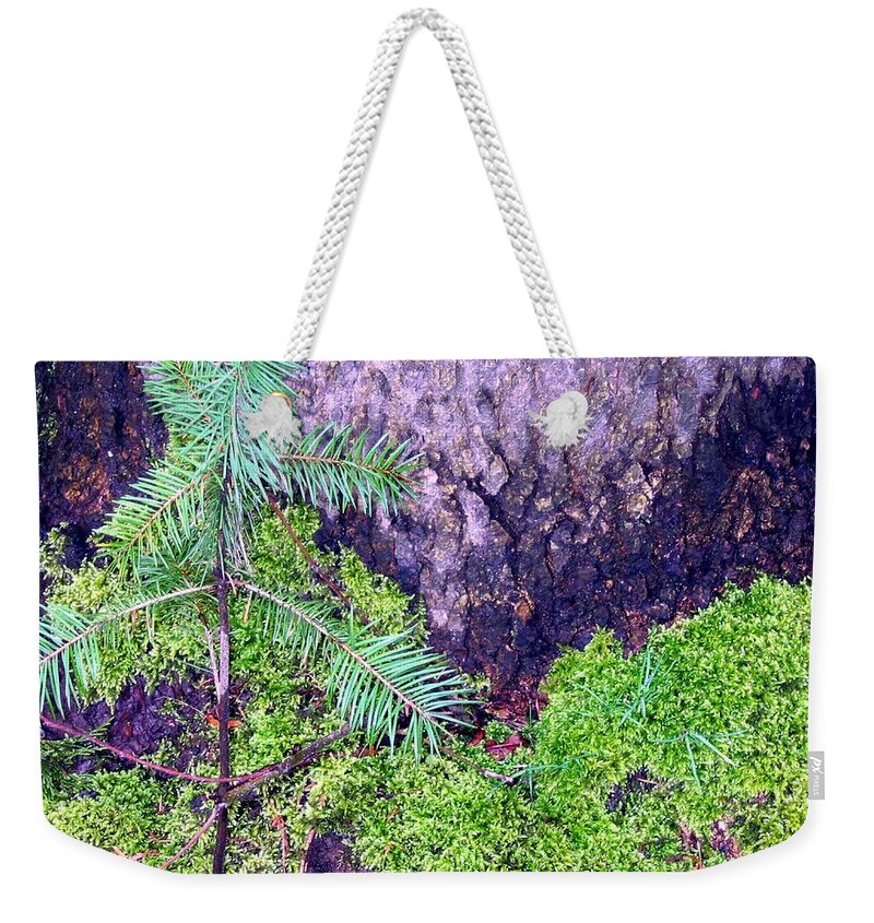 Trees Weekender Tote Bag featuring the photograph Just Starting Out by Will Borden