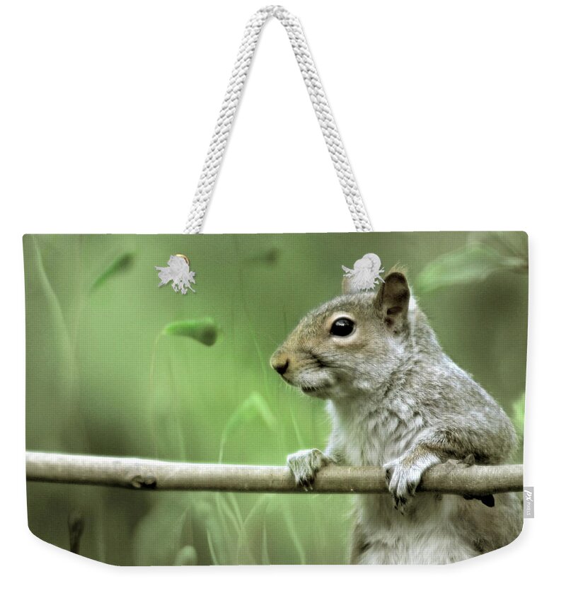 Squirrel Weekender Tote Bag featuring the photograph Just Watching The World Going By by Ang El