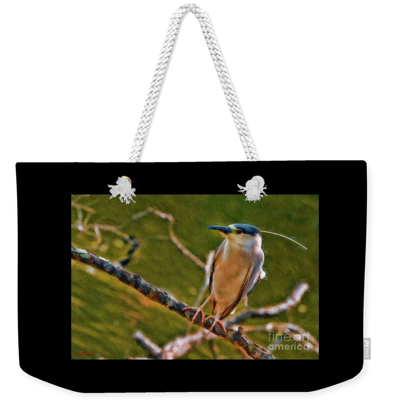 Birds Weekender Tote Bag featuring the photograph Juvenile Black-Crowned Night Heron On Look Out by Blake Richards