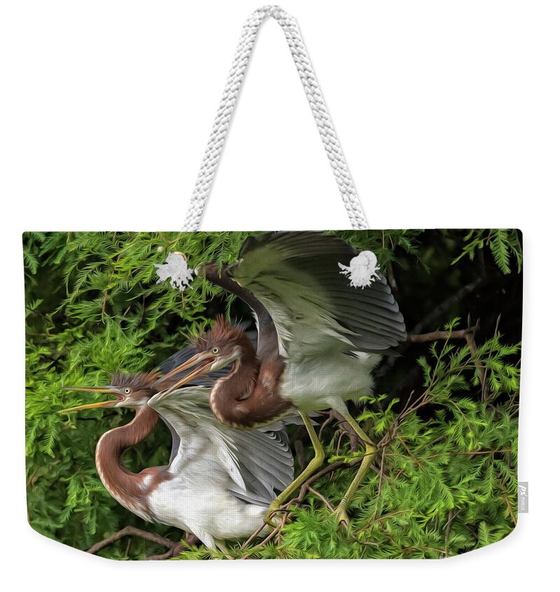 Herons Weekender Tote Bag featuring the digital art Juvenile Tricolored Heron Siblings Painted by DB Hayes