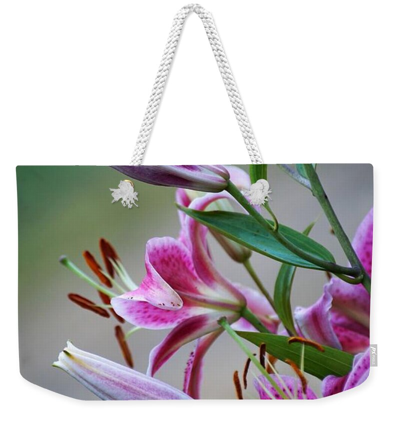 Lilly Weekender Tote Bag featuring the photograph K and D Lilly 3 by Merle Grenz