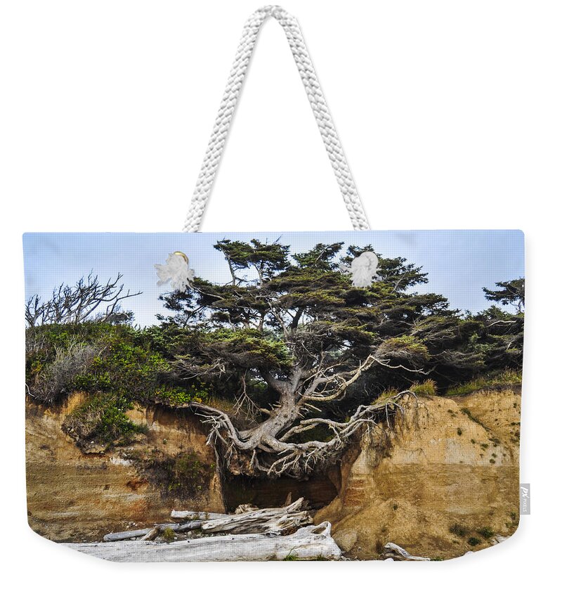 Lone Weekender Tote Bag featuring the photograph Kalaloch Hanging Tree by Pelo Blanco Photo
