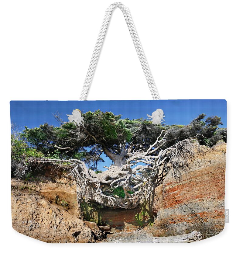 Kalaloch Weekender Tote Bag featuring the photograph Kalaloch Tree of Life by Martin Konopacki