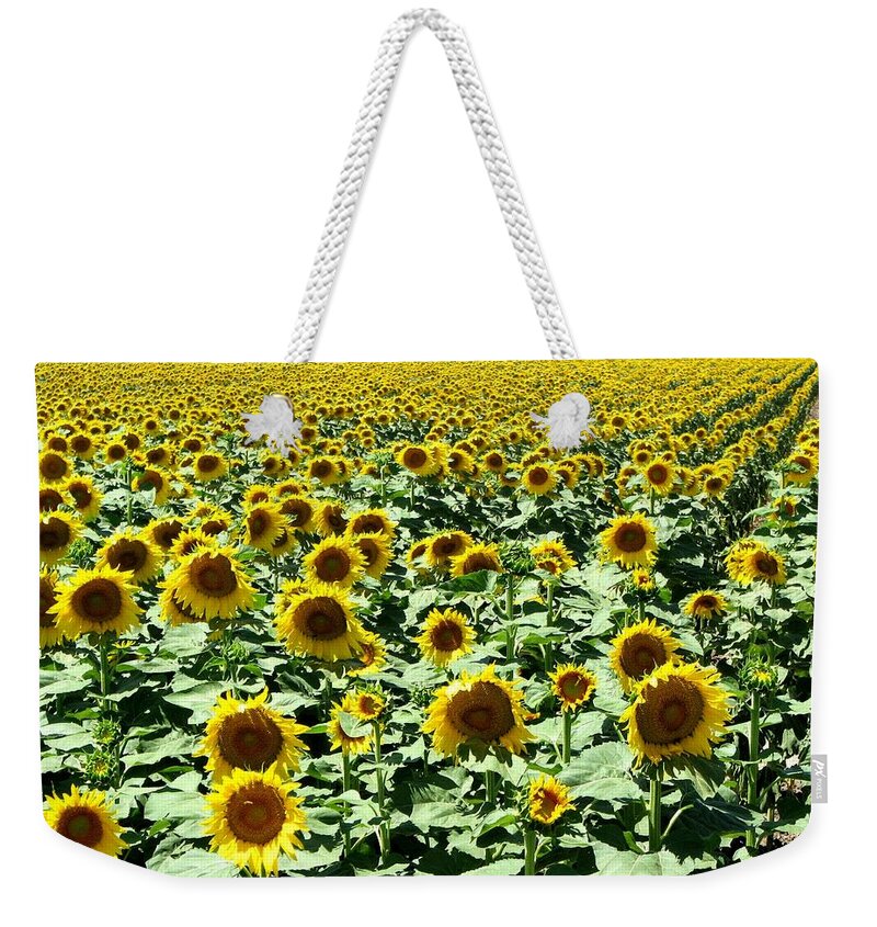 Sunflowers Weekender Tote Bag featuring the photograph Kansas Sunflower Field by Keith Stokes